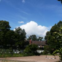Lindenbaum und Zaunkönig 1