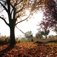 Hängematte im Herbstlaub