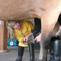 Im Urlaub reiten 7