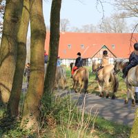 Im Urlaub reiten 8